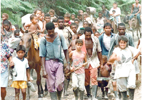 DESPLAZAMIENTO MASIVO POR EMBOSCADA DE LAS FARC AL EJERCITO