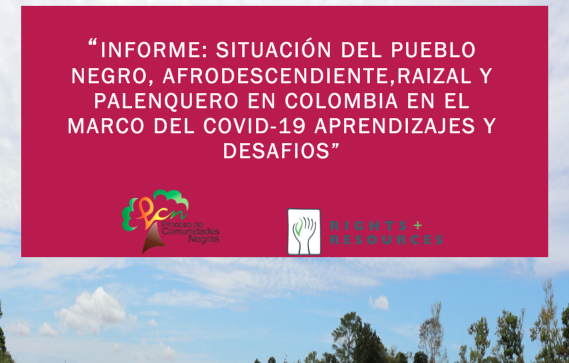 SITUACION DEL PUEBLO NEGRO, AFRODESCENDIENTE, RAIZAL Y PALENQUERO EN COLOMBIA EN EL MARCO DEL COVID-19 APRENDIZAJES Y DESAFIOS”