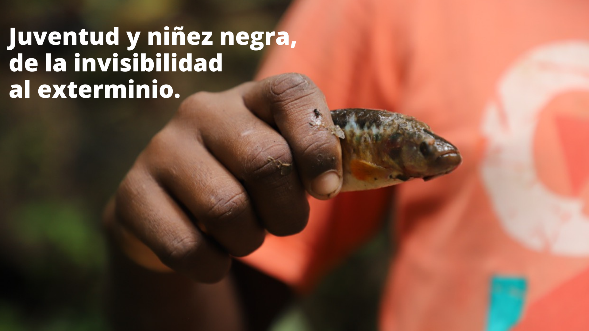 Juventud y niñez negra, de la invisibilidad al exterminio.